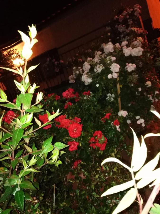 La Fenice モンテフィアスコーネ エクステリア 写真