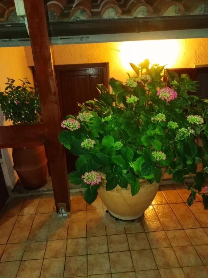 La Fenice モンテフィアスコーネ エクステリア 写真
